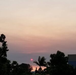 Meet your Posher, Yury